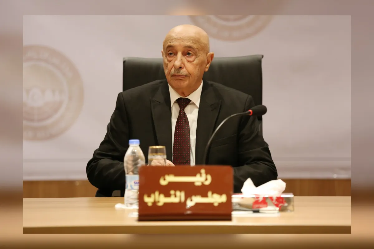 رئيس مجلس النواب يقبل بـ “قادربوه” رئيسا لهيئة الرقابة الإدارية
