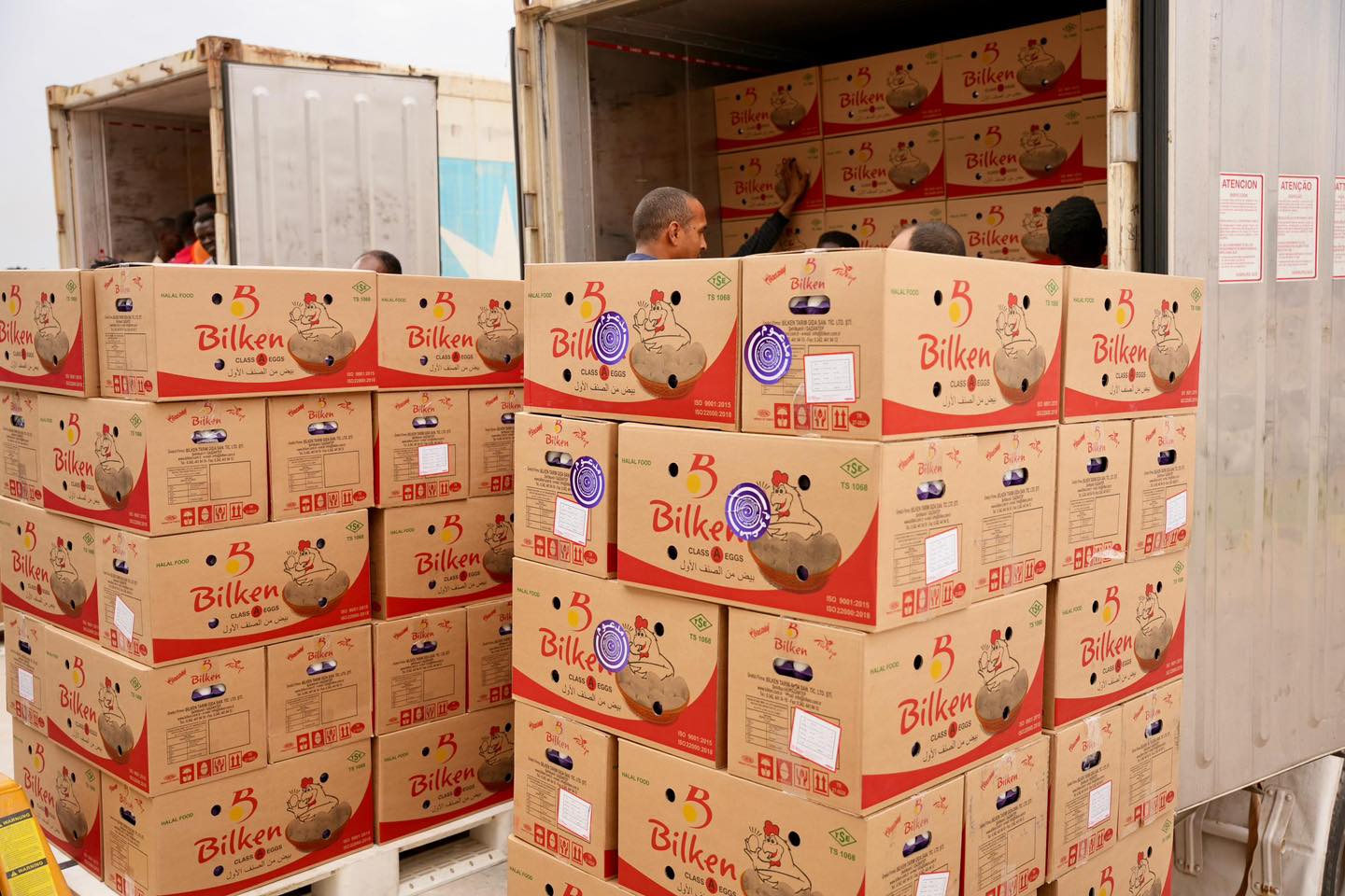 الحكومة الليبية تعلن وصول كميات من البيض المستورد بأسعار مخفضة