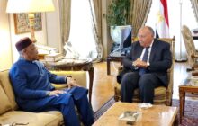 وزير الخارجية المصري يؤكد على ضرورة توقف الإطراف الخارجية عن محاولات تطويع العملية السياسية بليبيا