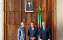 نورلاند : مشاورات قيِّمة مع الجزائر حول دعم جيران ليبيا للعملية السياسية