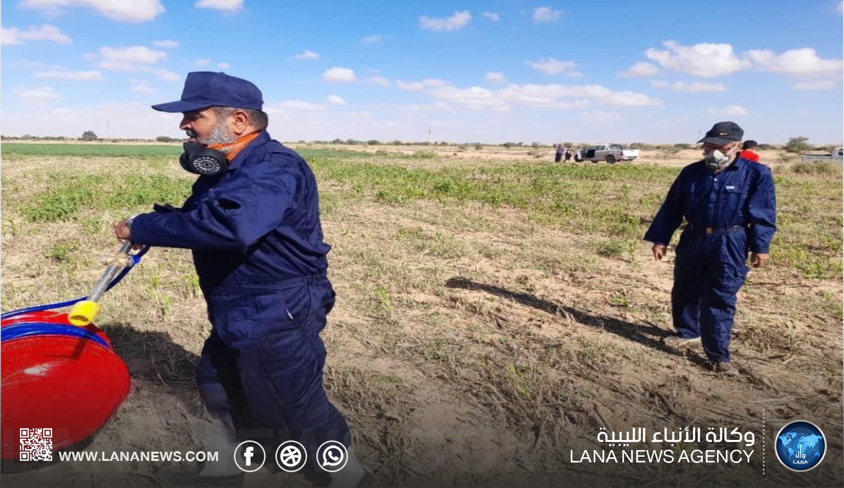 اللجنة الوطنية لمكافحة الجراد تبدأ عمليات مكافحة هذه الحشرات في بني وليد