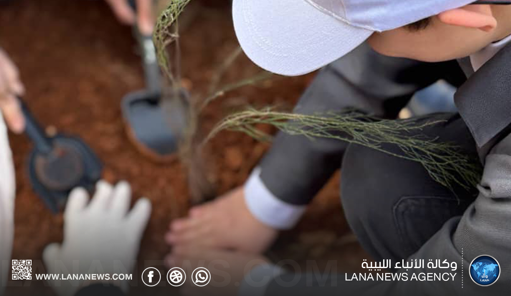 كلية الصيدلة بجامعة بنغازي تقود حملة تشجير لتعزيز الوعي البيئي